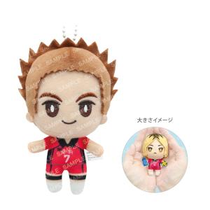 ハイキュー　おてもちぬいぐるみ　日向翔陽 グッズ-ぬいぐるみ】ハイキュー!! おてもちぬいぐるみ-お天気ver