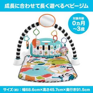 フィッシャープライス あんよでキック!感覚が育...の詳細画像2