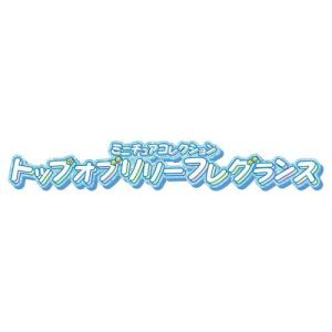 ミニチュアコレクション トップオブリリーフレグ...の詳細画像3