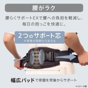 アップリカ ラクリス グレー ( 1台 )/ ...の詳細画像1