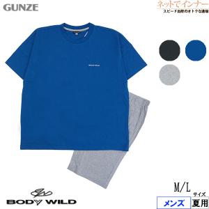 GUNZE グンゼ BODYWILD ボディワイルド メンズ半袖半パンツパジャマ 無地 夏用 BG3123 [M、Lサイズ] 紳士｜ネットでインナー