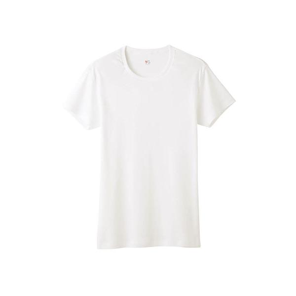 GUNZE グンゼ YG メンズクルーネックＴシャツ 丸首  本体：綿100% 年間 YV0013V...