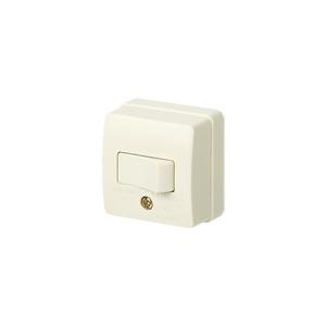 Panasonic パナソニック WK1562SW 接地15A露出抜け止めダブル Panasonic パナソニック WK1562SW 接地15A露出抜け止めダブル
