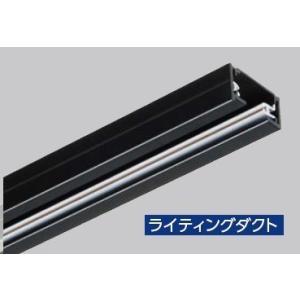 JAPPY JLD-0214K ライティングダク...の商品画像