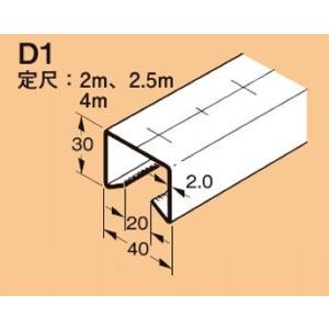 【翌営業日発送】ネグロス D1 ワールドダクター ダクターチャンネル（穴なしタイプ）2.5m 溶融亜...