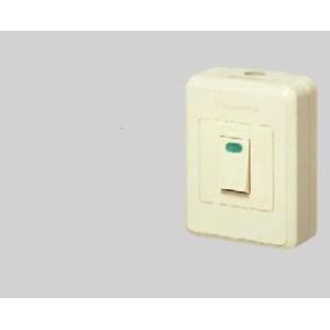Panasonic（パナソニック） TB24101 協約型電子式タイムスイッチ(年間