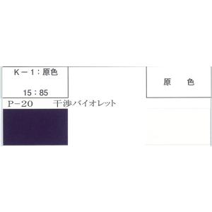 S.COAT(エスコート)No.2015ECOパールP-20バイオレット 300cc