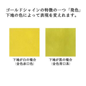 ゴールドシャイン 900g 油性 1液型 金色...の詳細画像2