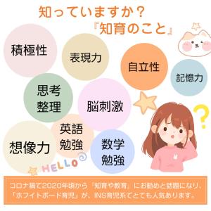 ホワイトボード シート マグネットシール 【一...の詳細画像3