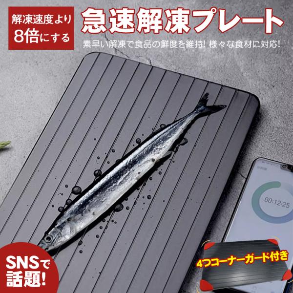 解凍プレート 急速解凍 プレート 解凍 キッチン 放熱 魚 刺身 肉 冷凍食品 エコ 時短 家事 ま...