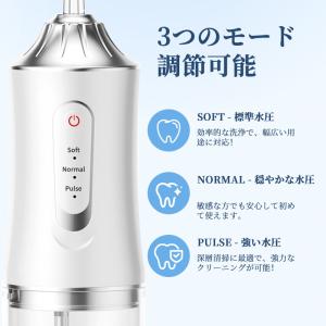 口腔洗浄器 ジェットウォッシャー 口腔洗浄機替...の詳細画像2