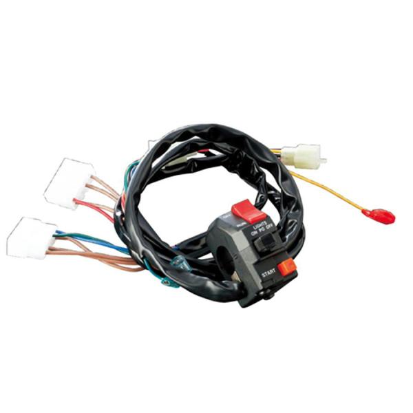 アクティブ ACTIVE スイッチキット TYPE-1 ZX-12R '2002 マレーシア仕様