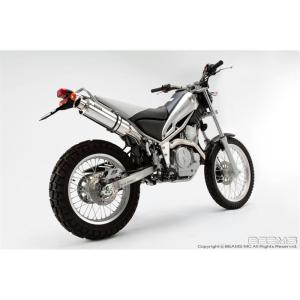 TW200 BEAMSマフラー BEAMS マフラー 送料無料 ビームス TW200・225 2JL DG07J SS300
