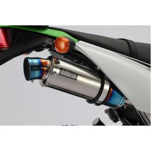 BEAMS（ビームス） バイク マフラー 250TR Fi JBK-BJ250F SS300