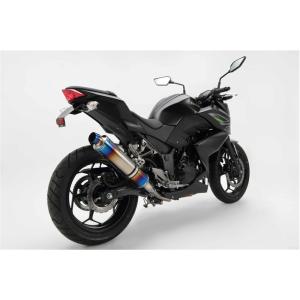 Ninja250 月木レーシングスリップオンマフラー カワサキ ニンジャ 250 月木レーシング(ツキギレーシング