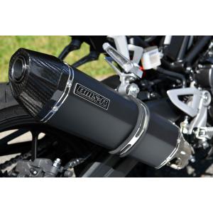 AKRAPOVIC（アクラポビッチ） バイク マフラー V-STROM 1050 '2020