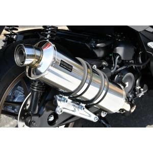 BEAMS（ビームス） バイク マフラー XR250 2003〜 MD30/BA-MD30 SS300