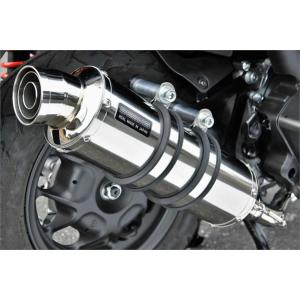 AKRAPOVIC アクラポビッチ オプション ヘッダーパイプ