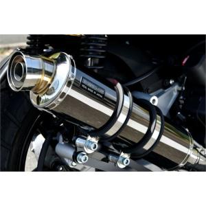 スペシャルパーツ武川 SP武川 テーパーコーンマフラー 政府認証 MT-125