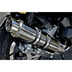 BEAMS バイク マフラー APE100 BC-HC07 SS300 ソニック ダウン