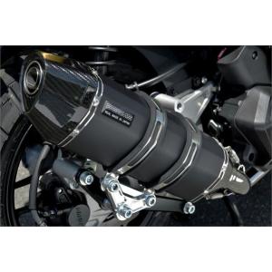 BEAMS ビームス 250TR Fi SS300ソニック フルエキゾースト