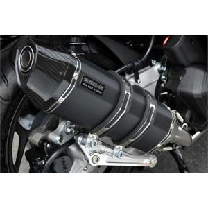 カワサキ250TR インジェクション用BEAMS マフラー BEAMS ビームス バイク用 マフラー 250TR JBK - BJ250F フルエキ
