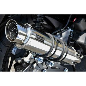 250TR ビームスマフラー BEAMS バイク マフラー 250TR BA-BJ250F SS300ソニック : ネトセ