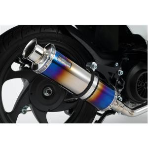 AKRAPOVIC（アクラポビッチ） AKRAPOVIC JMCA認証 SLIP ON LINE ZX-10R