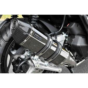 BEAMS（ビームス） BEAMS R-EVO ステンレス アクシスZ 8BJ-SEJ6J フル