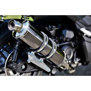 BEAMS（ビームス） バイク マフラー レブル250 8BK-MC49 パワー