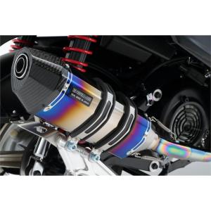 BEAMS（ビームス） BEAMS R-EVO2 カーボン Ninja250 2022〜 8BK-EX250Y