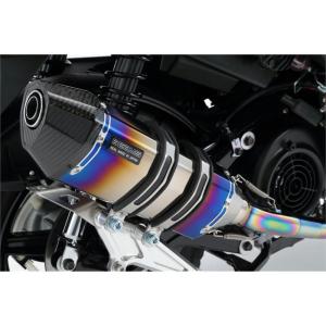 AKRAPOVIC（アクラポビッチ） スリップオンライン チタン マフラー