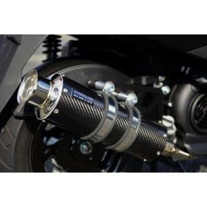 ロイヤルマフラー ユーロタイプ ステンレス ウイルズウィンヤマハアクシスZ 楽天市場】WirusWin アクシスZ(8BJ-SEJ6J) ロイヤルマフラー