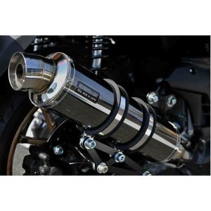 グラストラッカー BEAMS ビームス SS300ソニック NJ4DA FI車 moto-zoa_itm0015753867