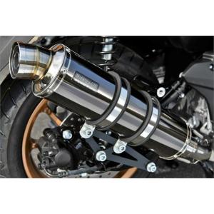 BEAMS（ビームス） バイク マフラー Dio110 2021〜 2BJ-JK03 SS300 SP