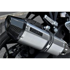 ホンダ HAWK 11 ホーク11 2022-2024 (8BL-SC85) DANMOTO カーボン