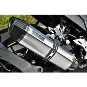 Toce Performance Kawasaki ZX-10R 06-07 デュアルスリップオン T