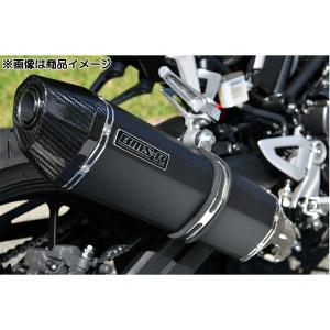 SV650 W'RS リアルエキゾースト マフラー ダブルアールズ スリップオン WR'S ダブルアールズ SS-OVAL ソリッドタイプ スリップオン JMCA