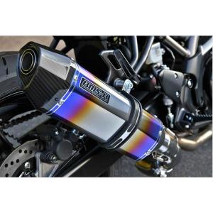 BEAMS ビームス SV650/SV650X '22〜 8BL-VP55E R-EVO2 ヒート
