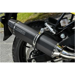 ビームス BEAMS R-EVO2 SV650/SV650X 2022〜 楽天市場】【スーパーSALE限定！特別クーポン！ポイントUP