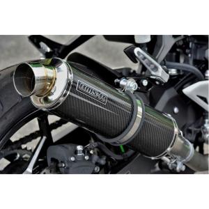 250TR ビームスマフラー BEAMS ビームス 250TR Fi SS300ソニック フルエキゾースト