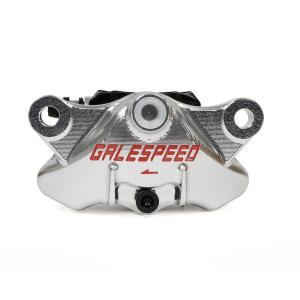 GALE SPEED（ゲイルスピード） ビレット リア2P アキシャルキャリパー