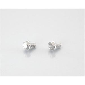 キタコ KITACO フランジ付六角ボルト ステンレス M6 / P1.0×12mm 2ヶ｜neteceterashop