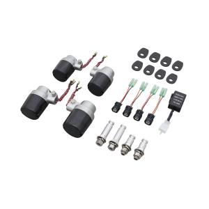 バリオス250（1型/2型） LEDテールランプASSY（レッド） ACP（エーシー