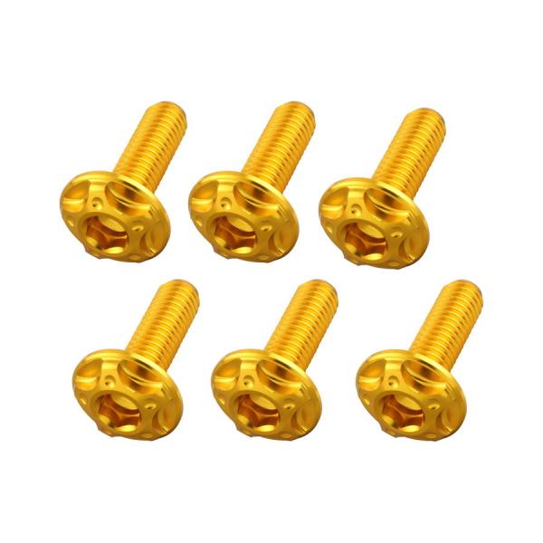 ポッシュフェイス POSHFaith ビレットスクリーンボルトセット M5×16mm 6本 [HON...