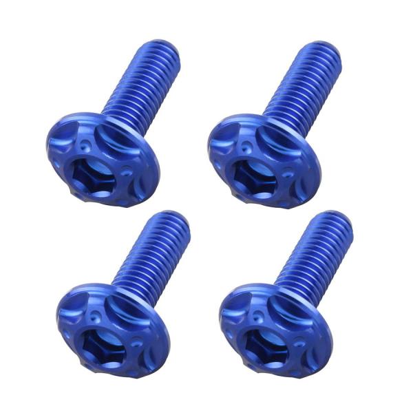 ポッシュフェイス POSHFaith ビレットスクリーンボルトセット M5×16mm 4本 [HON...