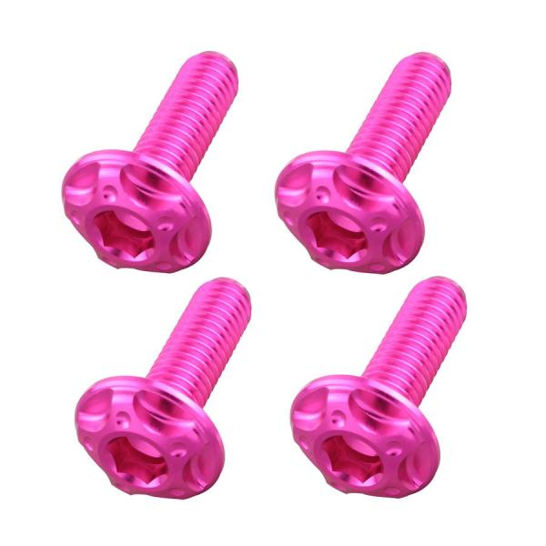 ポッシュフェイス POSHFaith ビレットスクリーンボルトセット M5×16mm 4本 [HON...