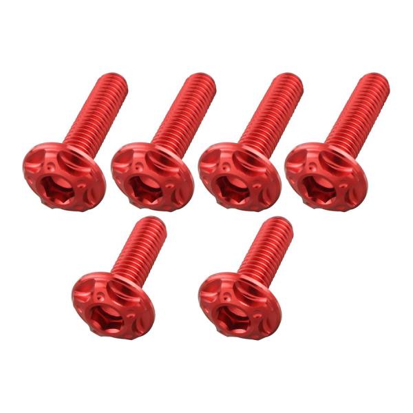 ポッシュフェイス POSHFaith ビレットスクリーンボルトセット M5×16mm 2本/M5×2...