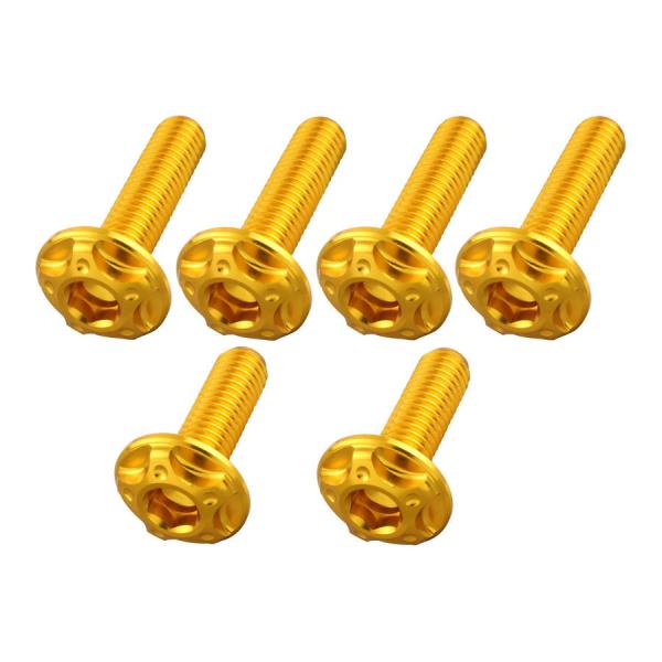 ポッシュフェイス POSHFaith ビレットスクリーンボルトセット M5×16mm 2本/M5×2...