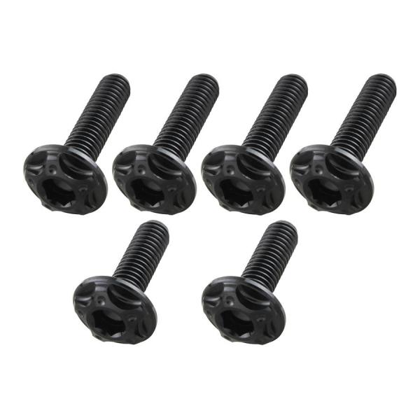 ポッシュフェイス POSHFaith ビレットスクリーンボルトセット M5×16mm 2本/M5×2...